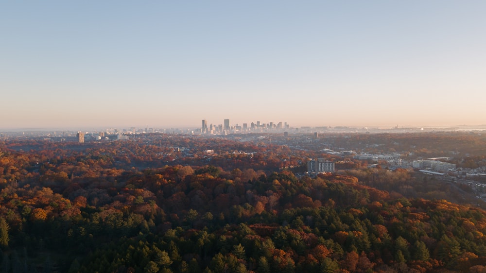 aerial view of city buildings during daytime