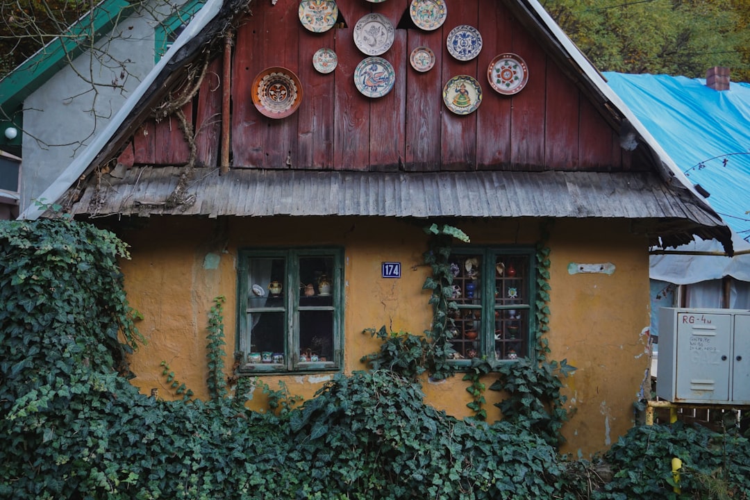 brown wooden house with green plants