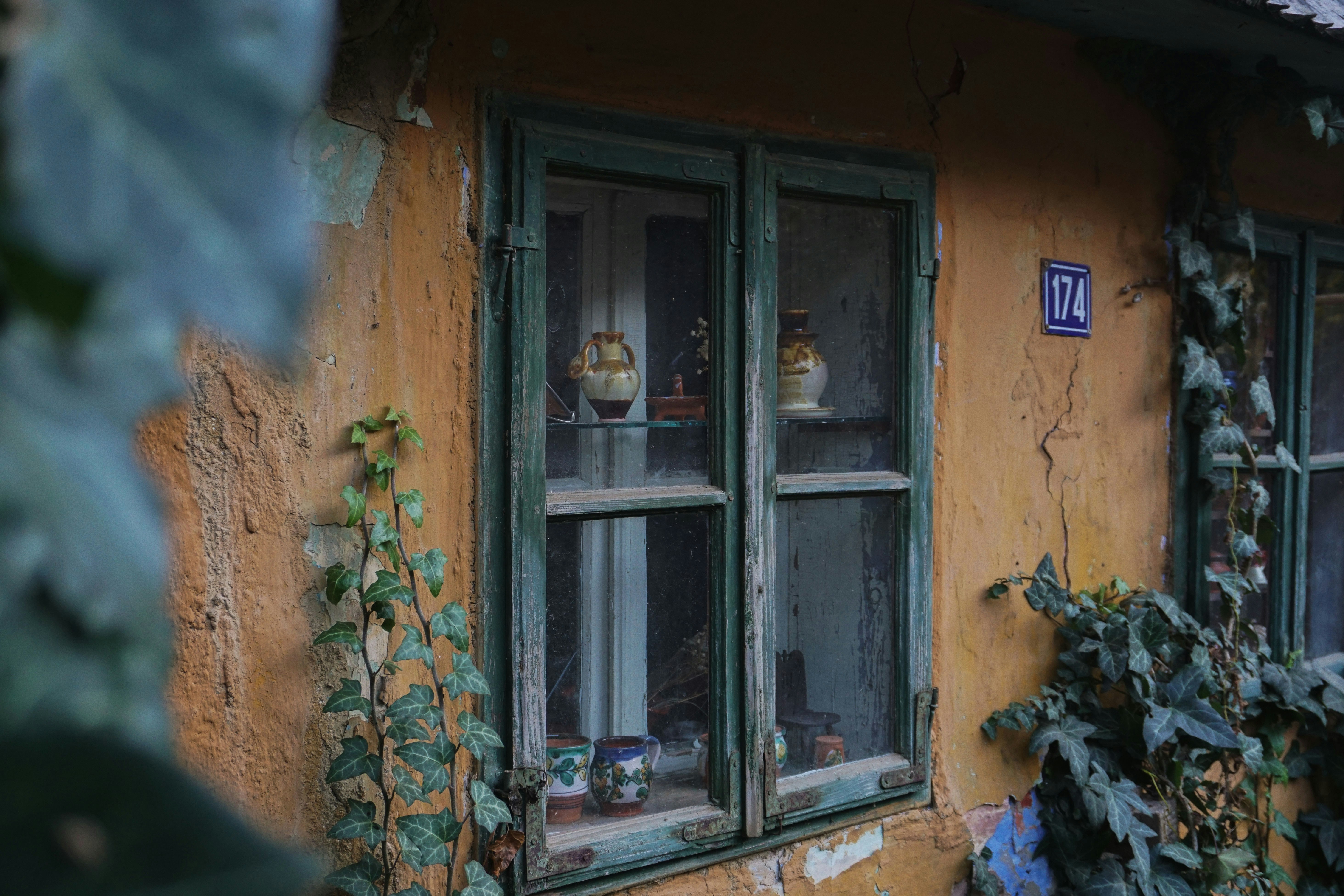 Photo by pongracznoemi