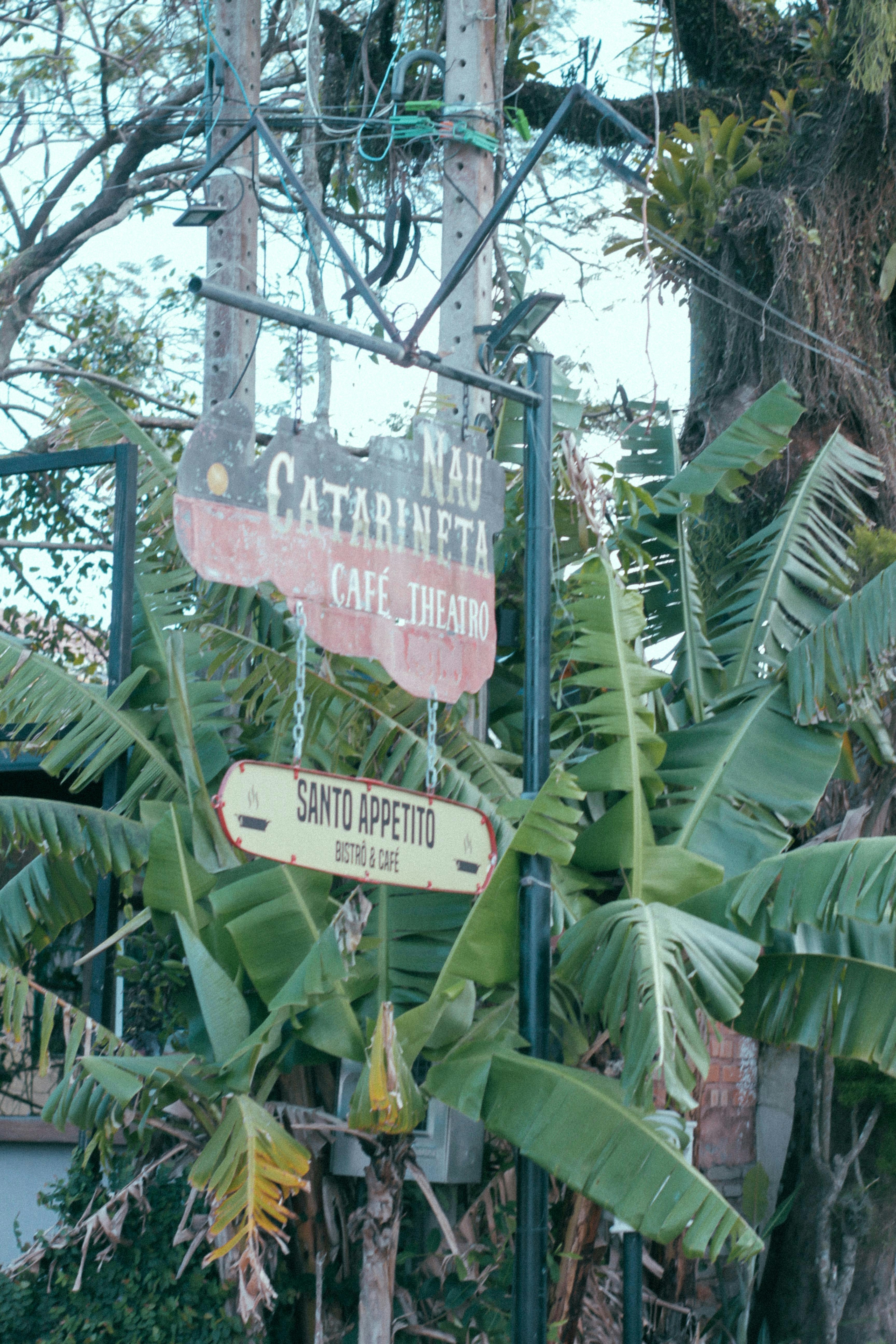 red and white wooden signage