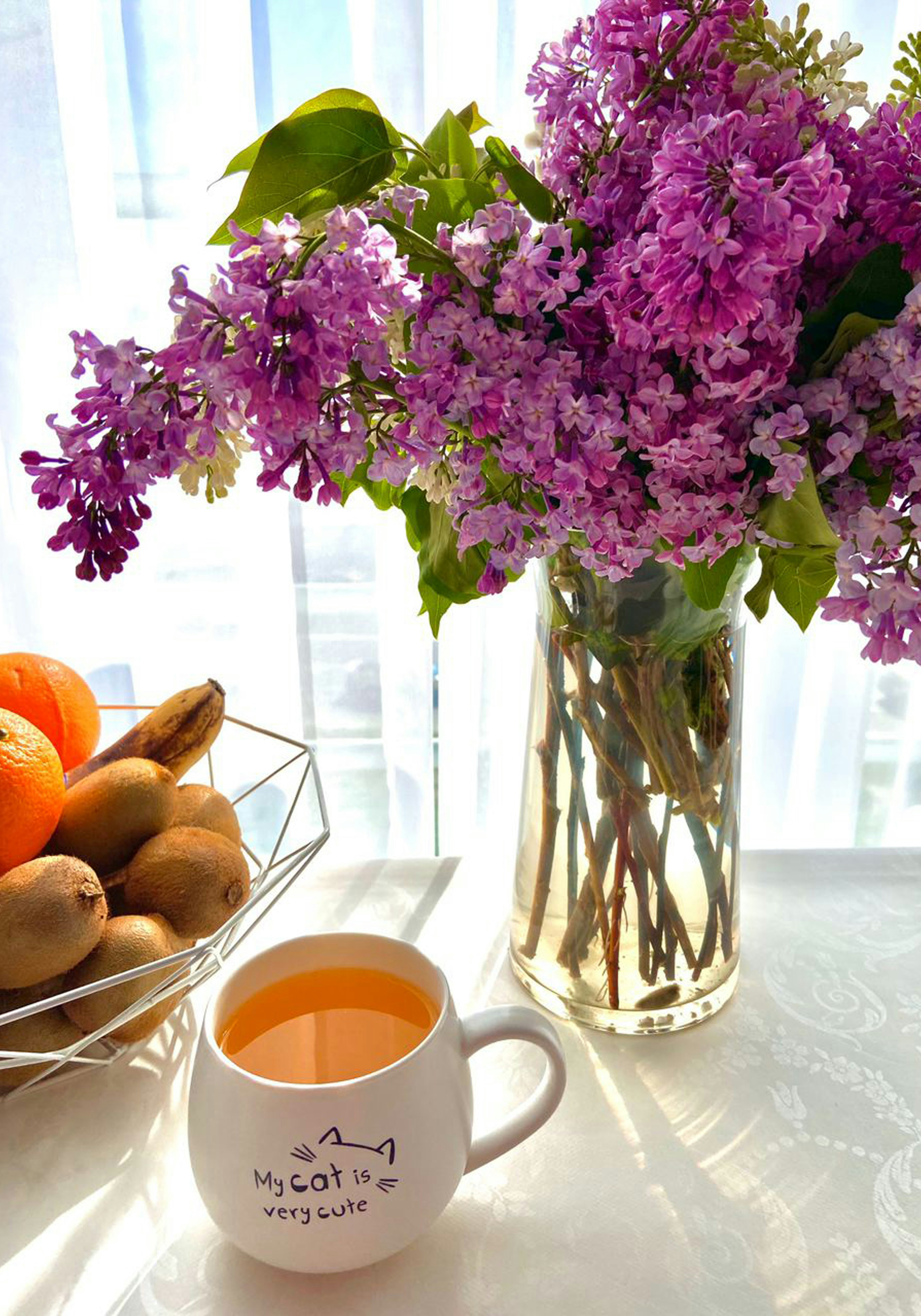 purple flowers in clear glass vase