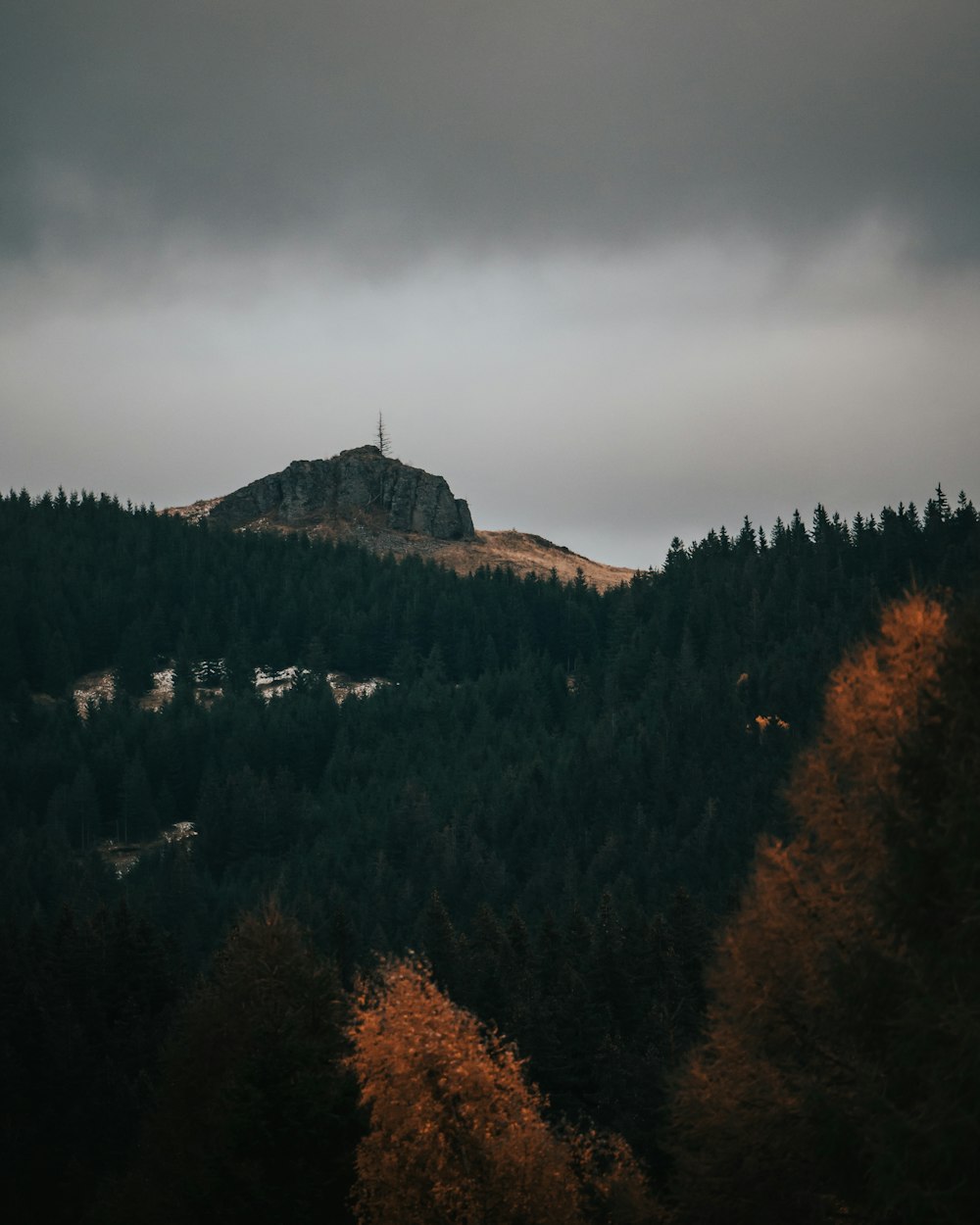 green trees on mountain under cloudy sky during daytime