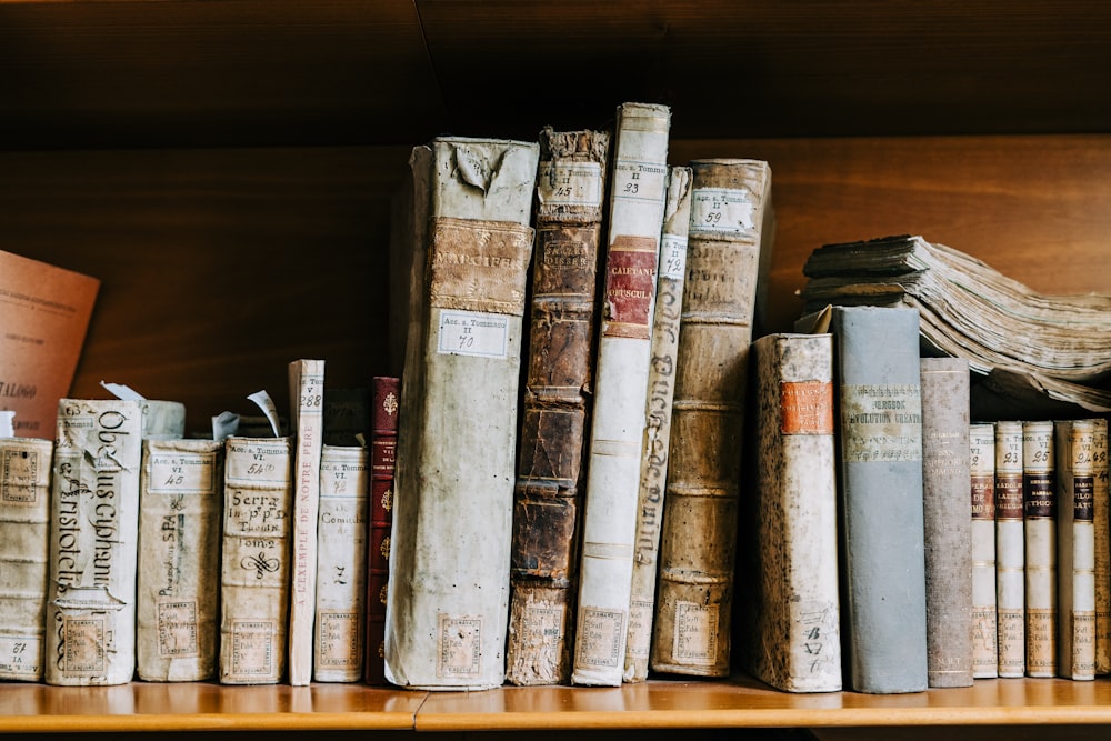 assorted books on brown wooden shelf