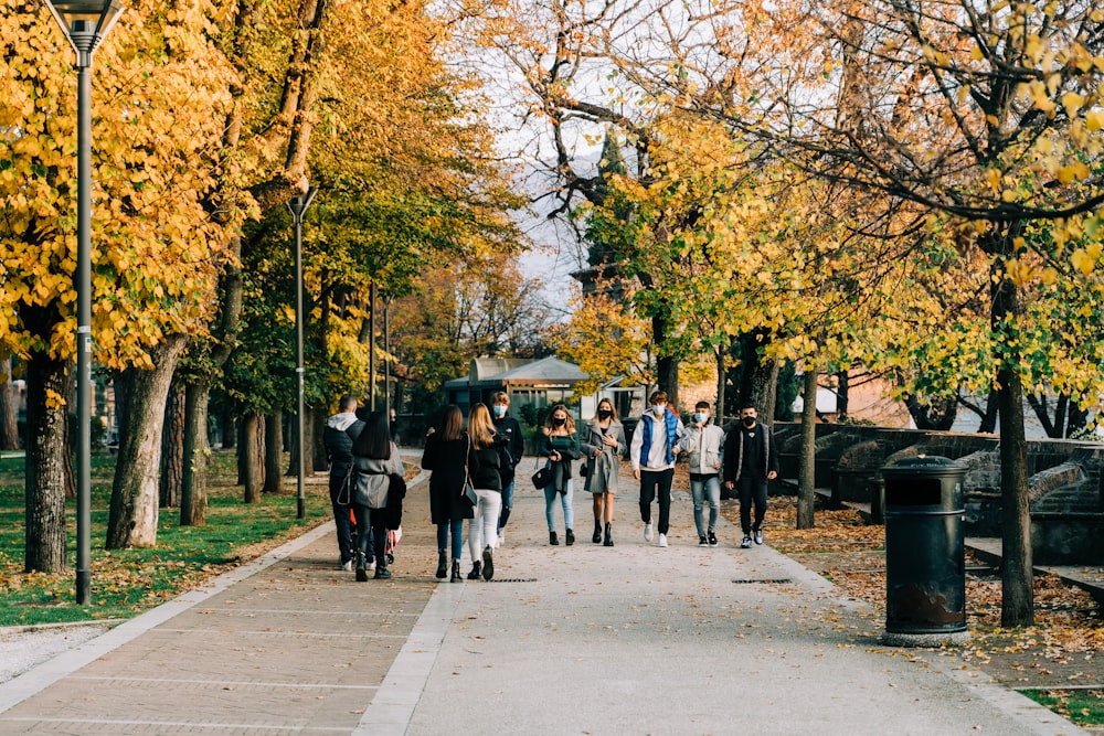 people walking on sidewalk near trees during daytime