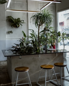 A modern indoor space featuring a large rectangular concrete table adorned with various green plants. There are three wooden stools with metal legs in front of the table. A hanging plant decorates the wall, which has a textured white panel. Overhead, linear lights provide illumination. The window to the right reveals a glimpse of the outdoors.