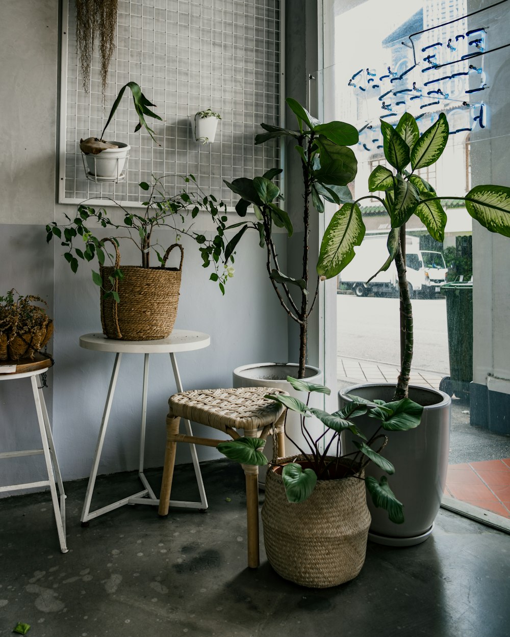 planta verde em vaso na mesa de metal branca