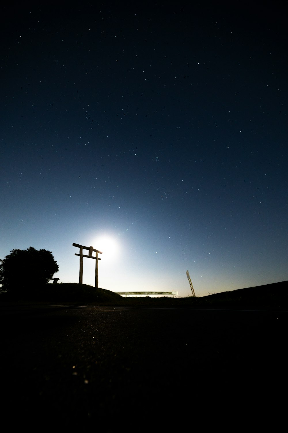 silhouette of trees and light post under blue sky during night time