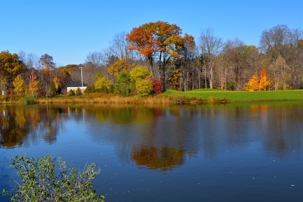 green grass field near lake under blue sky during daytime