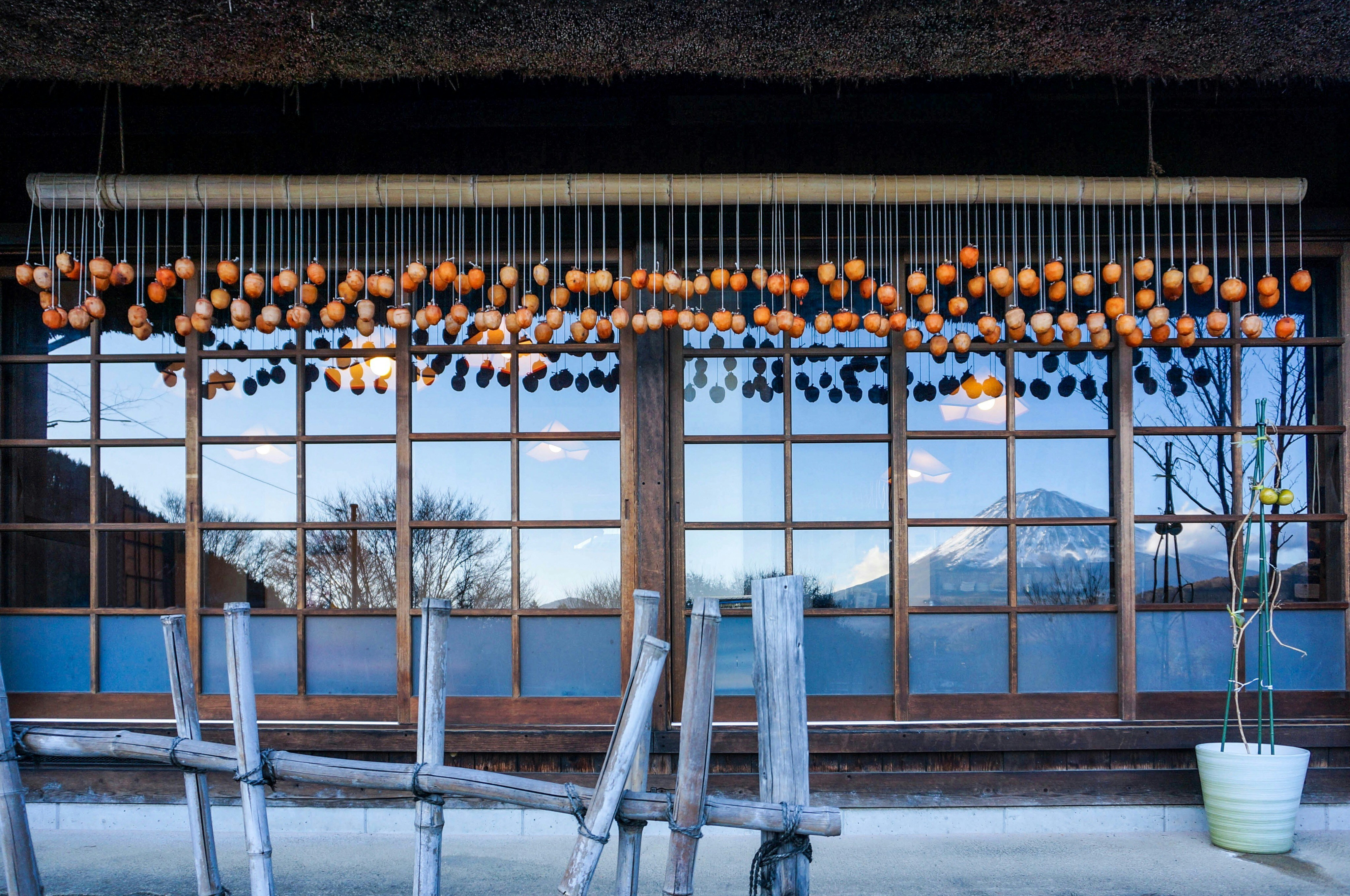 Rows of omikuji tied to strings and ema votive plaques hanging