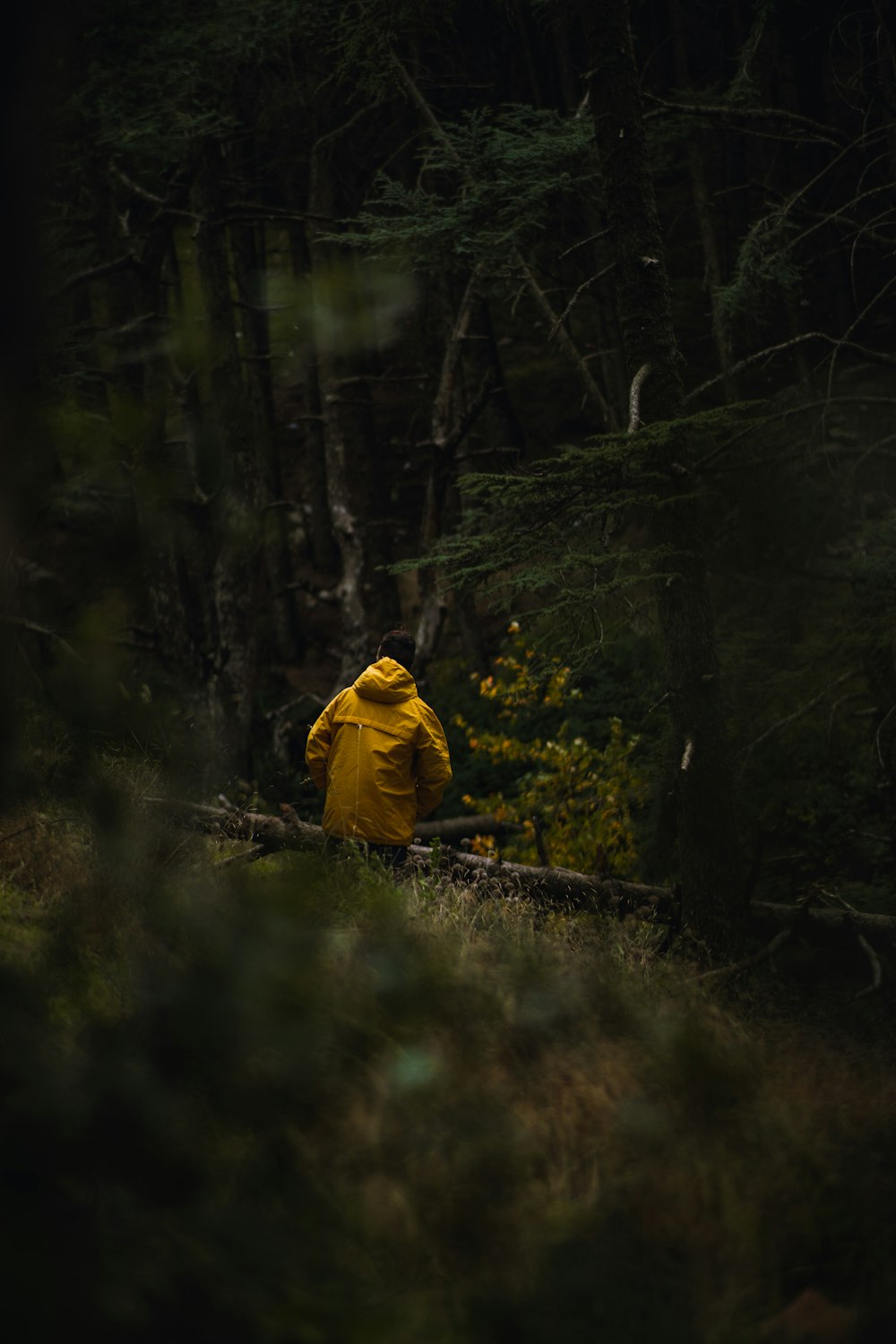 personne en veste jaune marchant sur un champ d’herbe verte