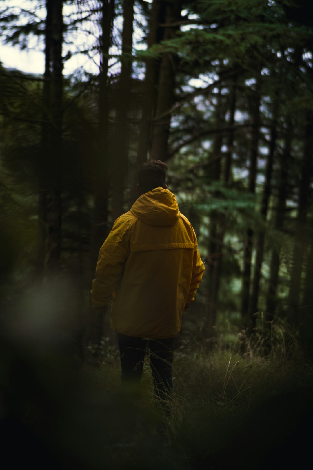 person in yellow hoodie standing in forest