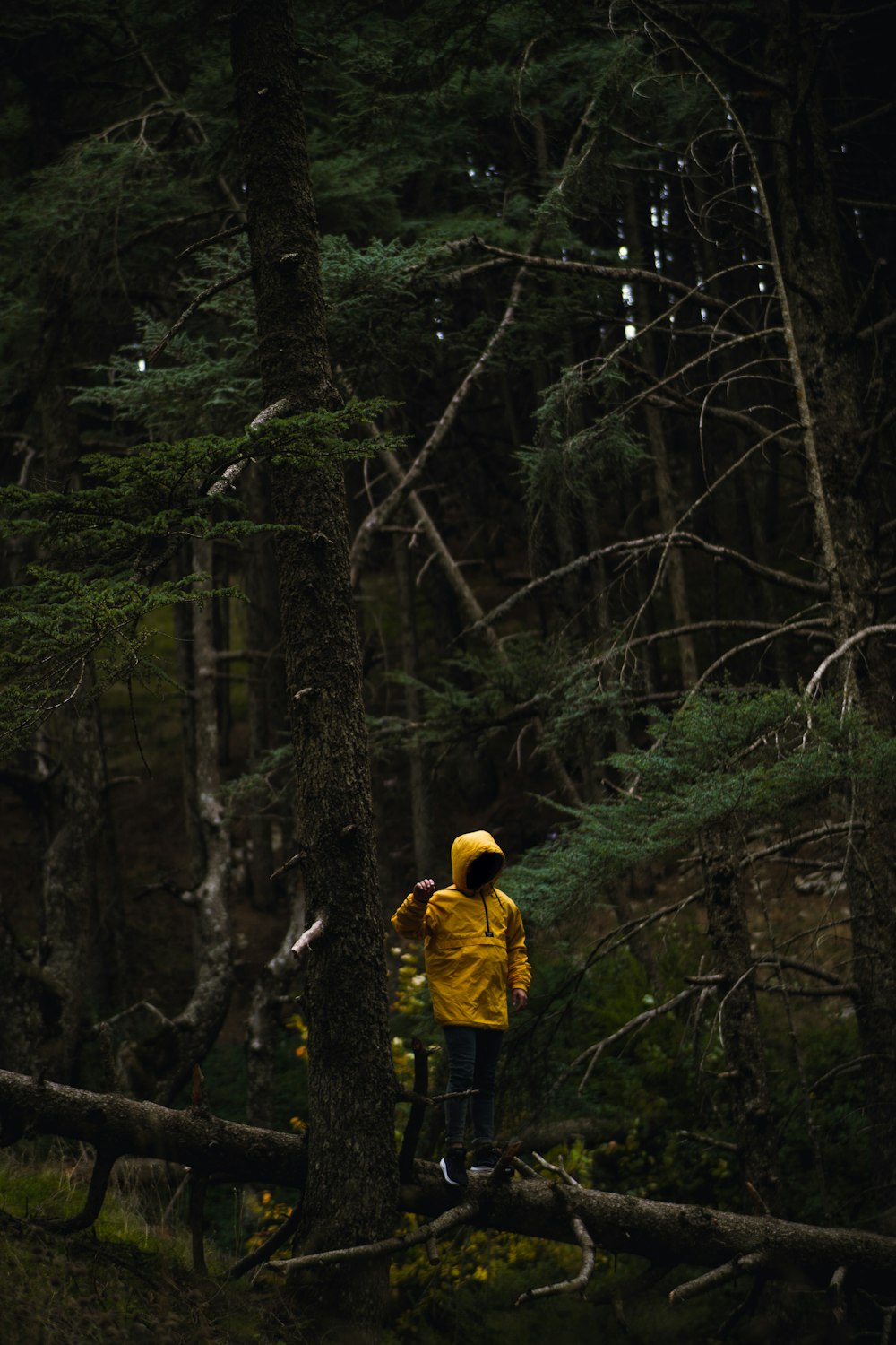 person in yellow jacket and black pants standing in the woods