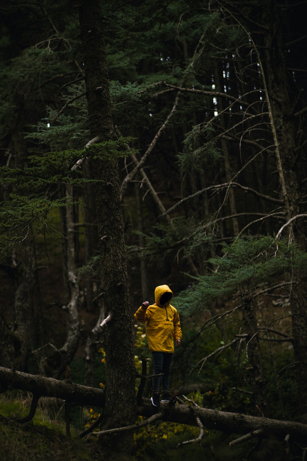 person in yellow jacket and black pants standing in the woods