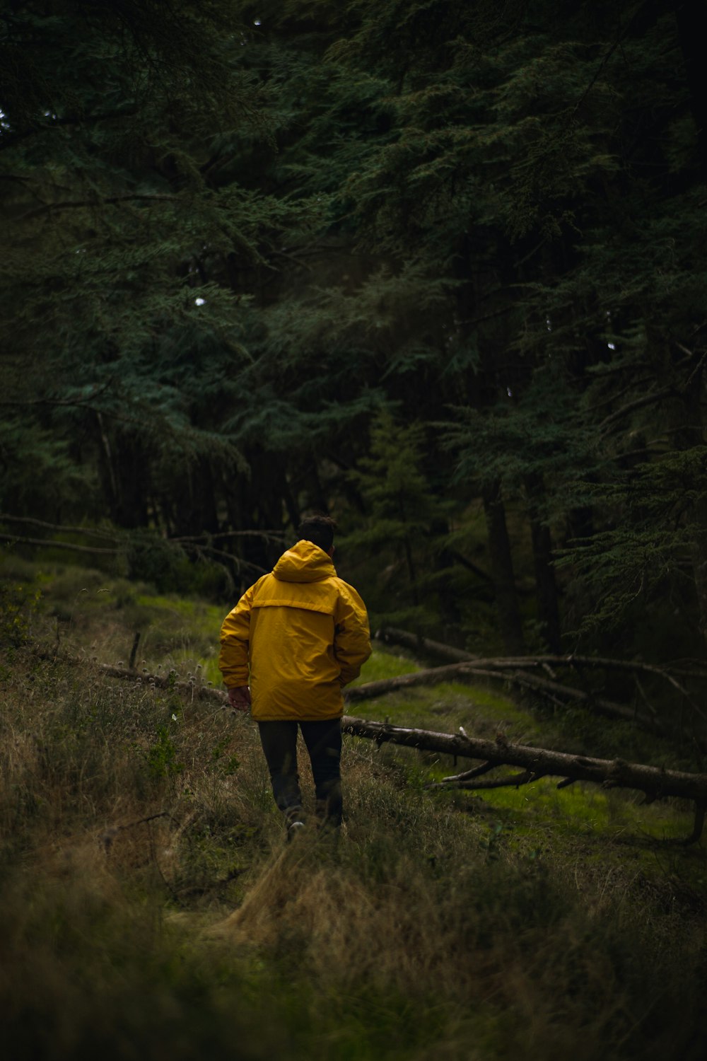 homme en veste jaune et pantalon noir marchant sur un champ d’herbe brune