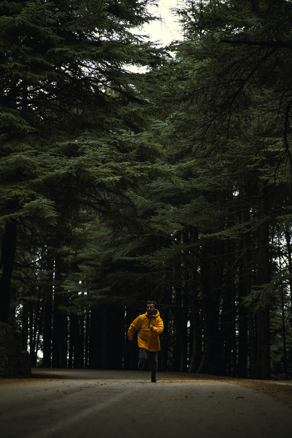 person in yellow jacket standing in the middle of forest during daytime