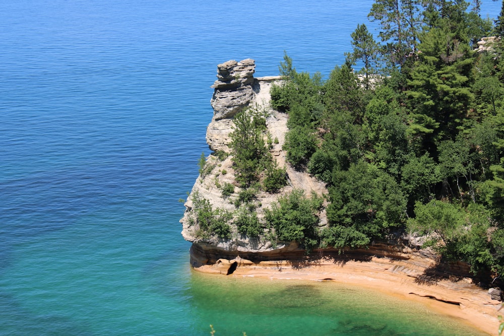 green trees on brown rock formation near body of water during daytime