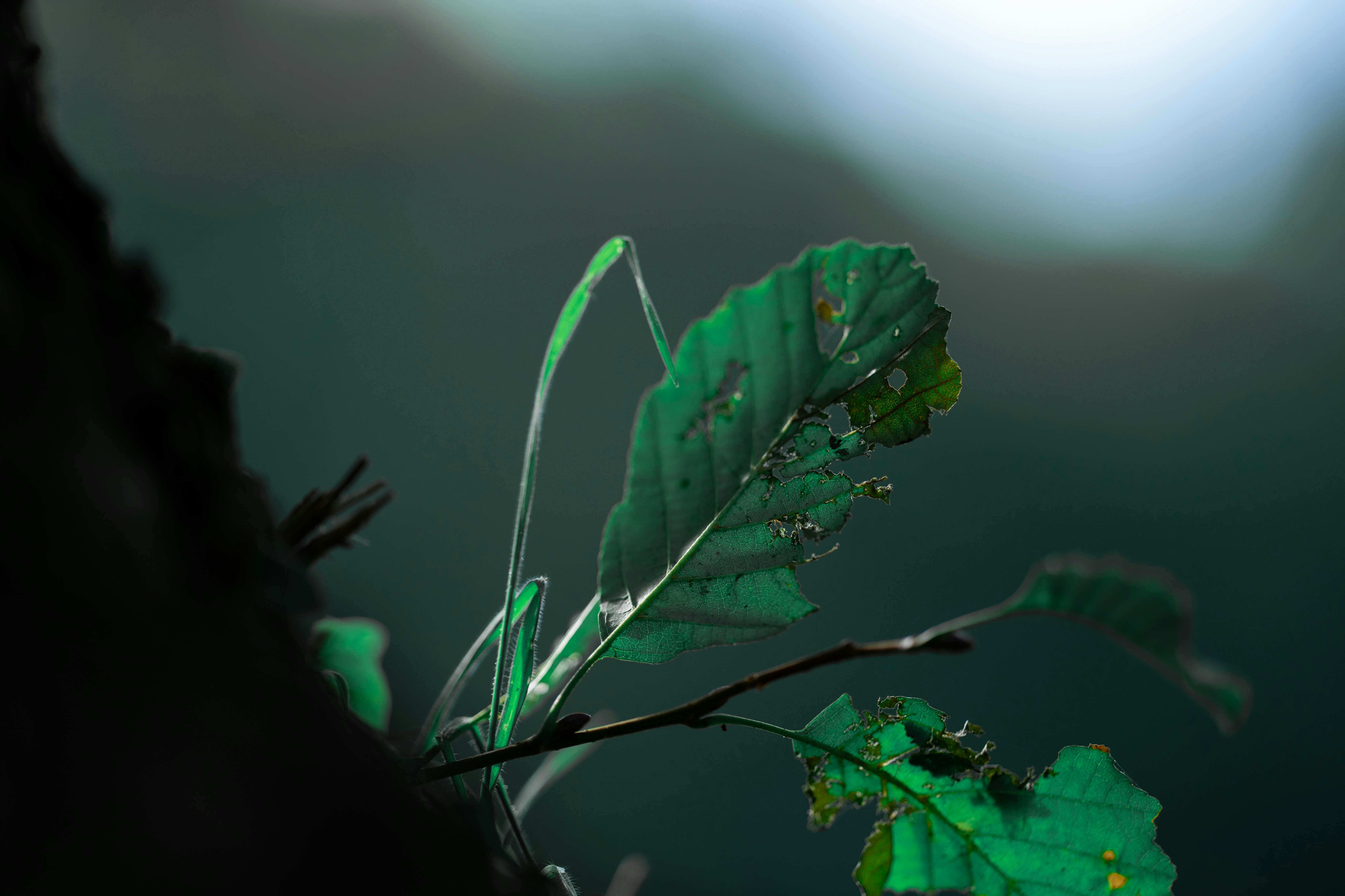 Photo by omarvellous14