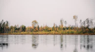 A serene lakeside reflection of autumn trees under a cloudy sky.