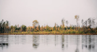A serene lakeside reflection of autumn trees under a cloudy sky.