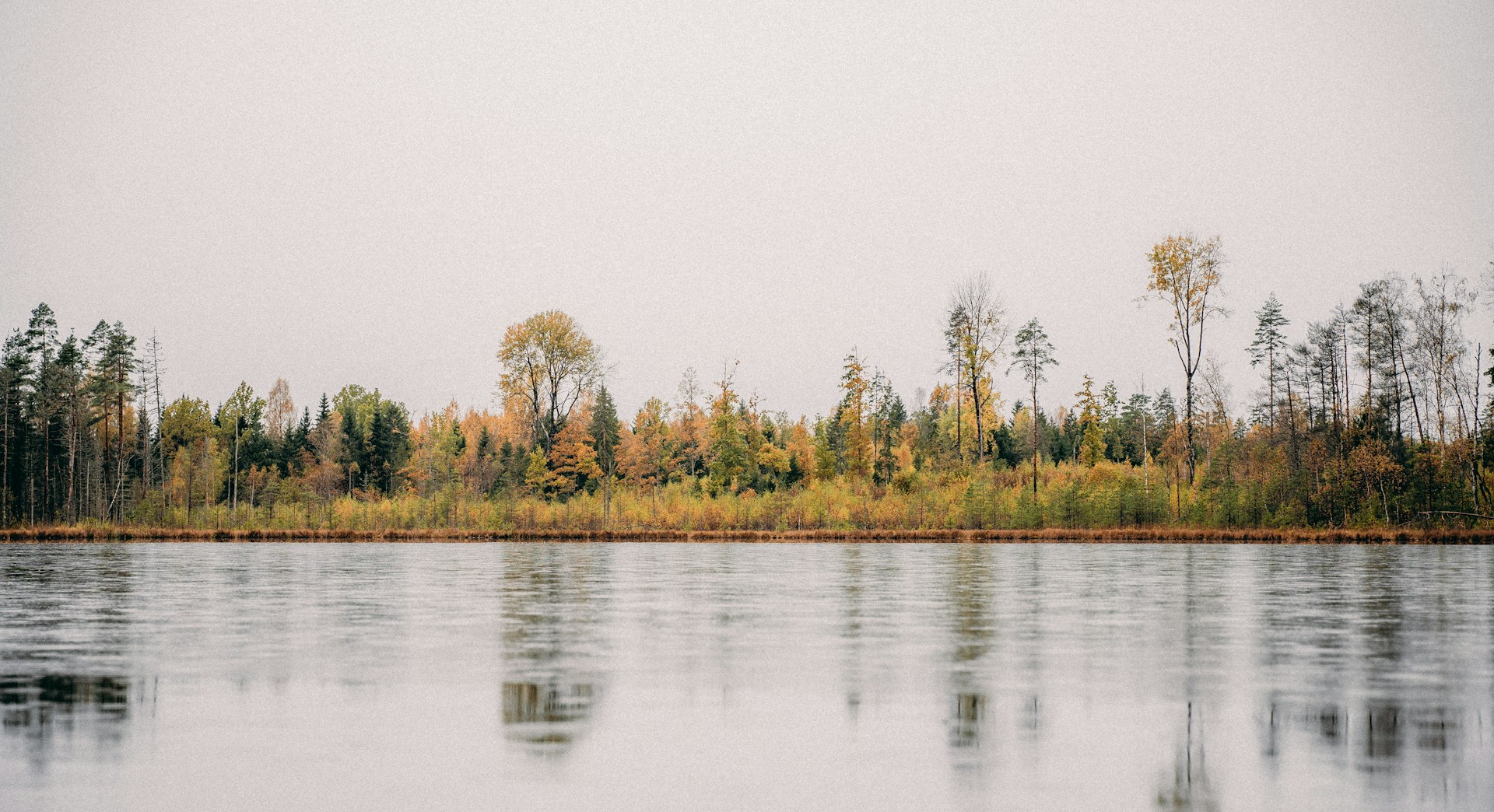 A serene lakeside view with reflections of autumn trees.