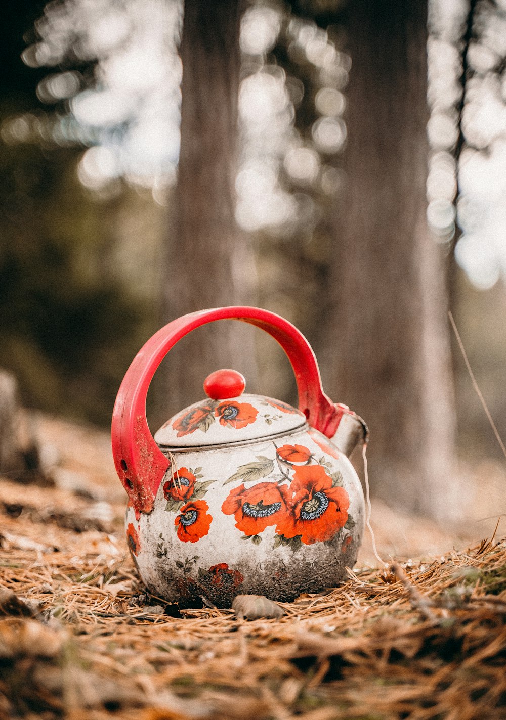 white and red floral teapot on dried leaves
