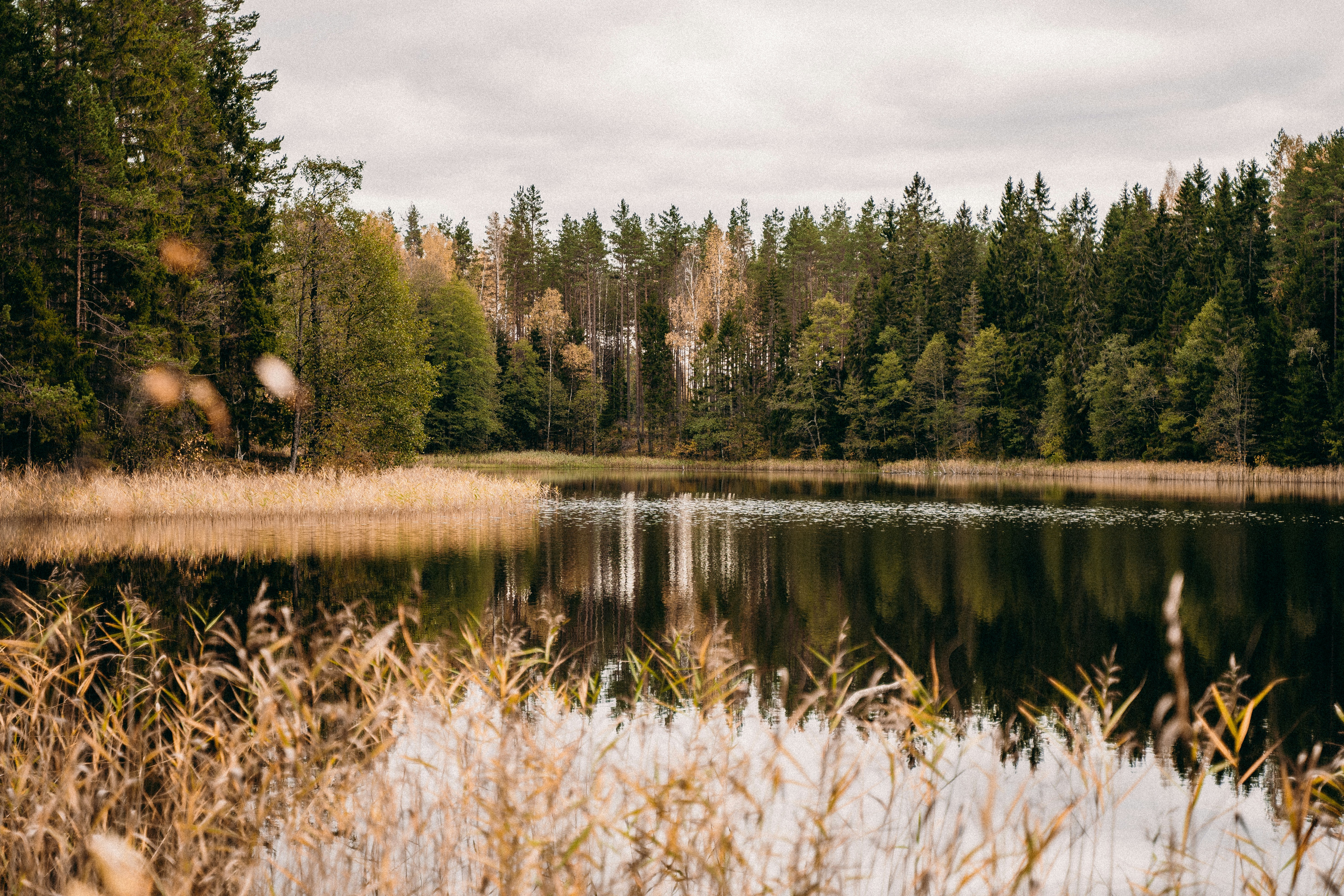 Photo by marklandmanphoto