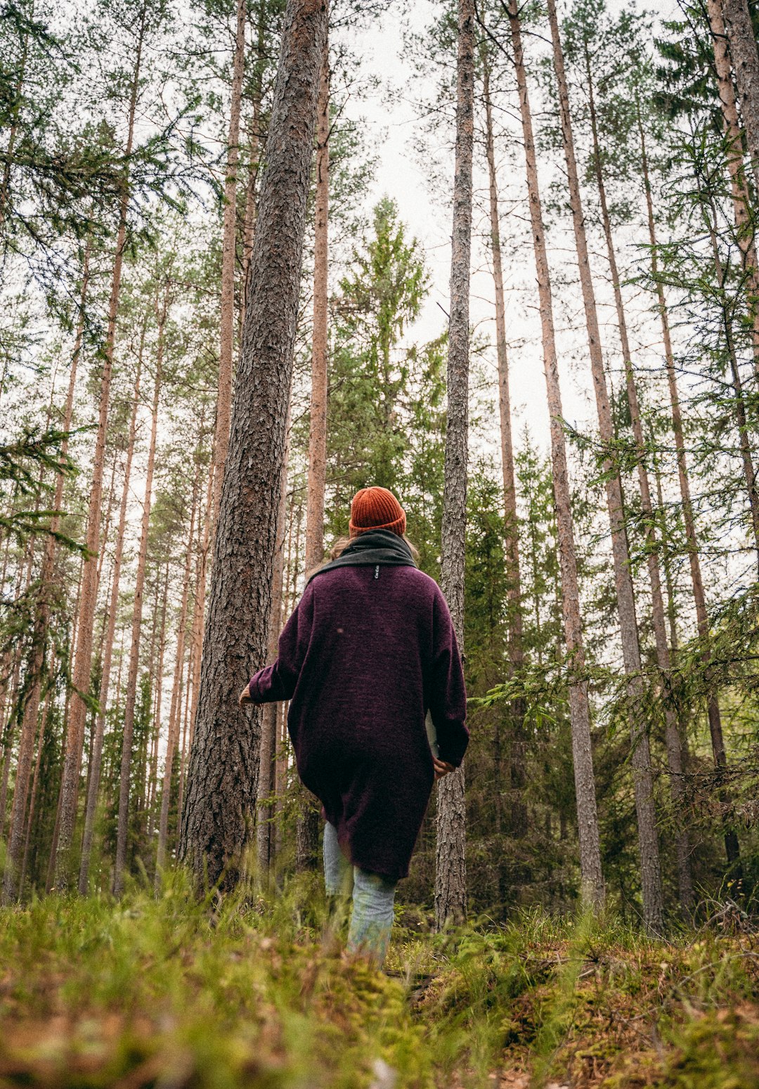 man in red hoodie standing in the woods during daytime