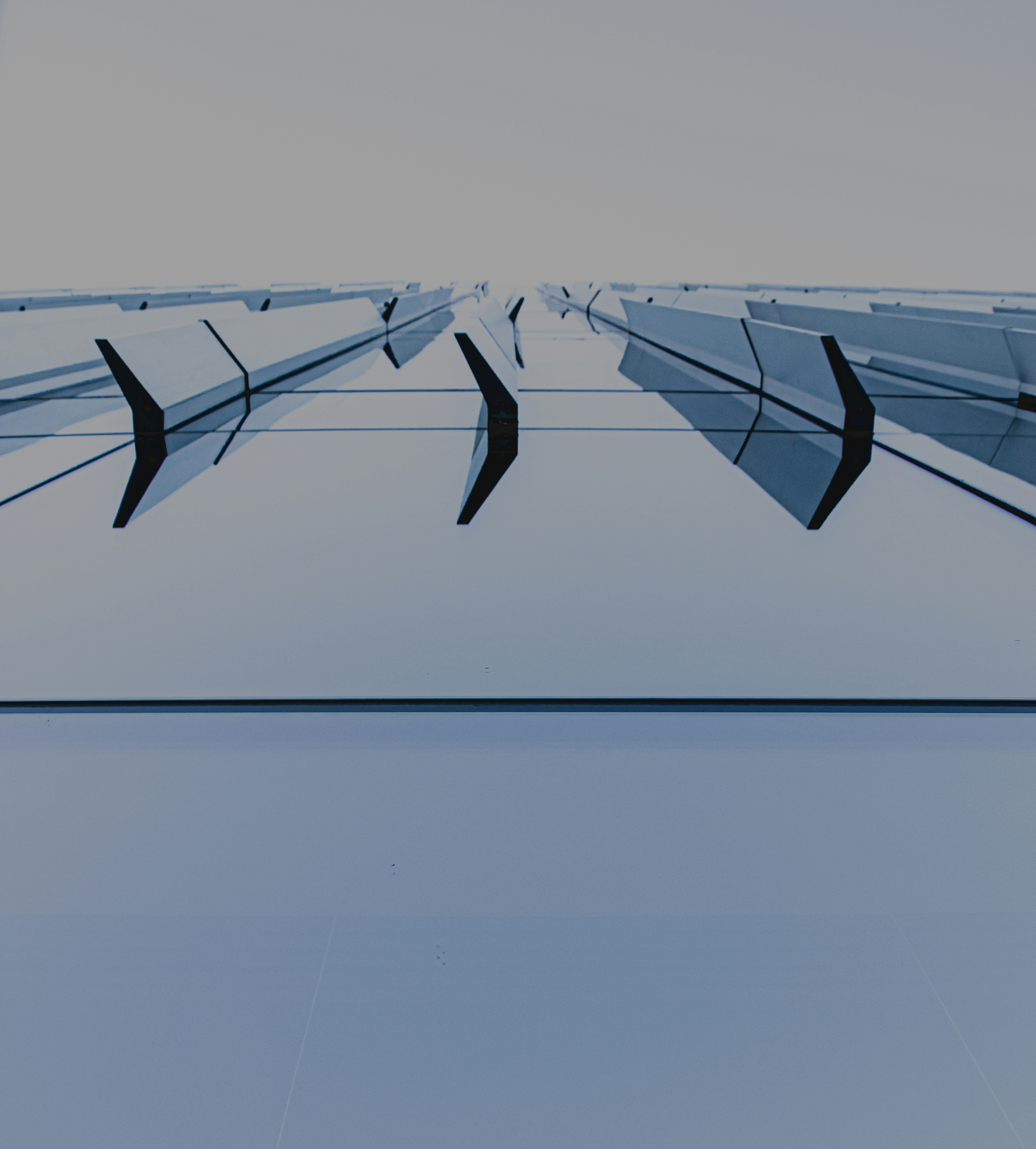 Photo by framesforyourheart