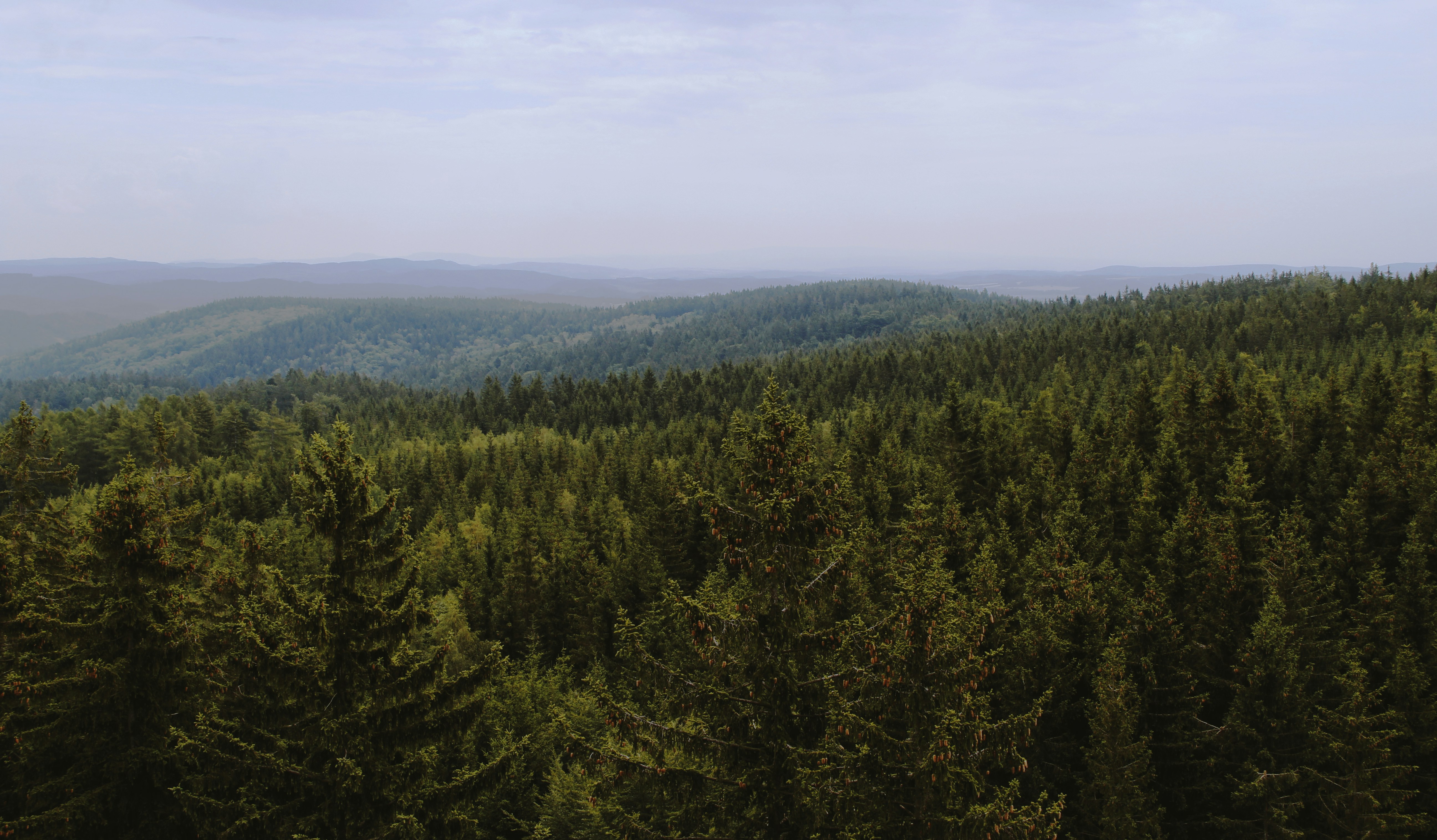 Photo by mathew_kewerick