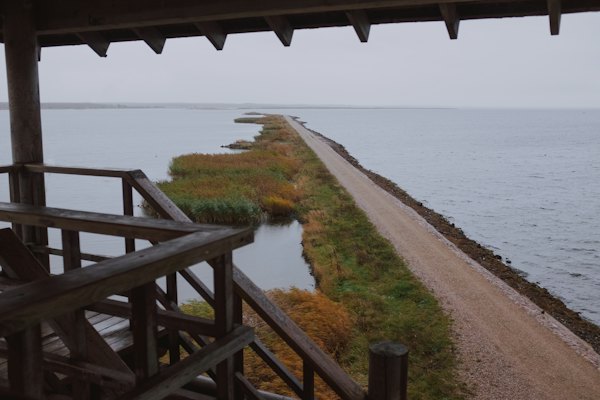 Brown wooden bridge over body of water during daytime — Liepāja, Latvia