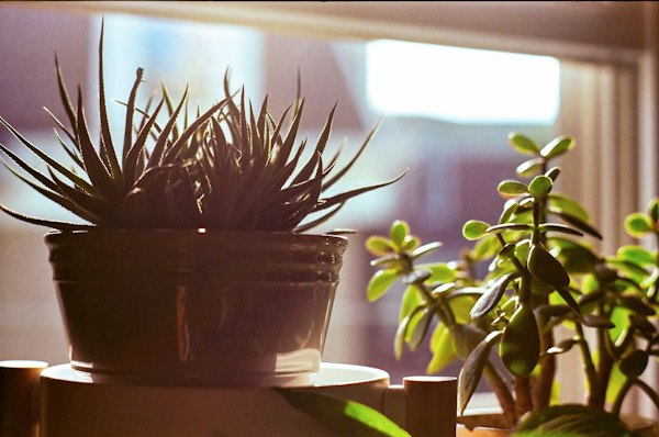 Indoor air quality