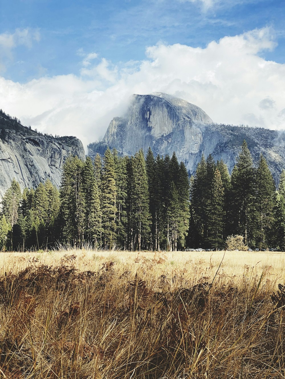 green pine trees near mountain under white clouds during daytime