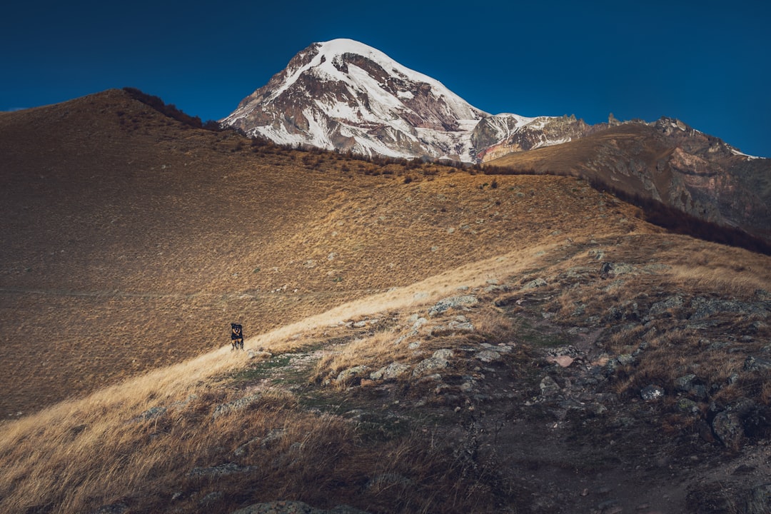 person walking on brown field near snow covered mountain during daytime