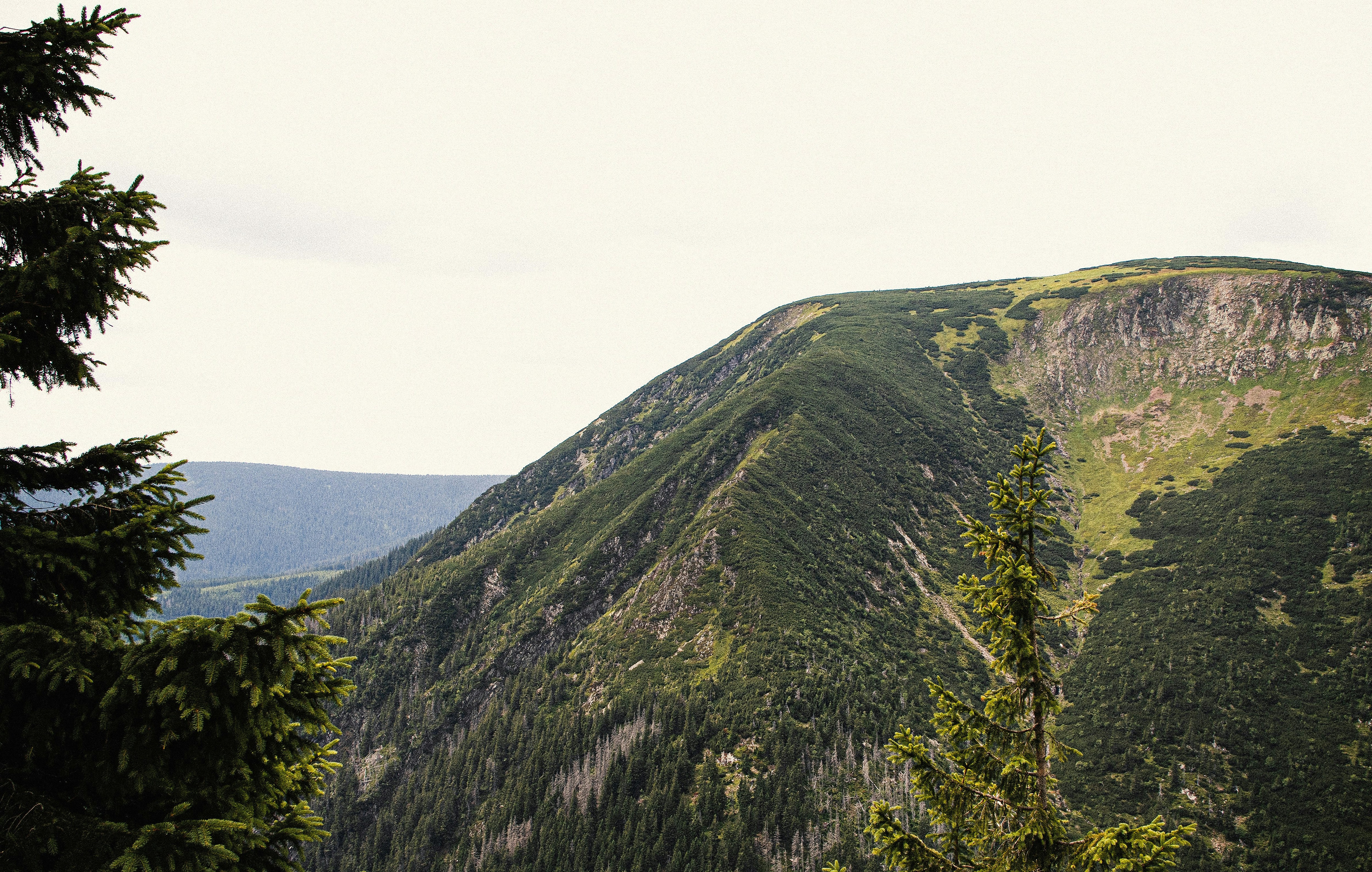 green and brown mountain under white sky during daytime