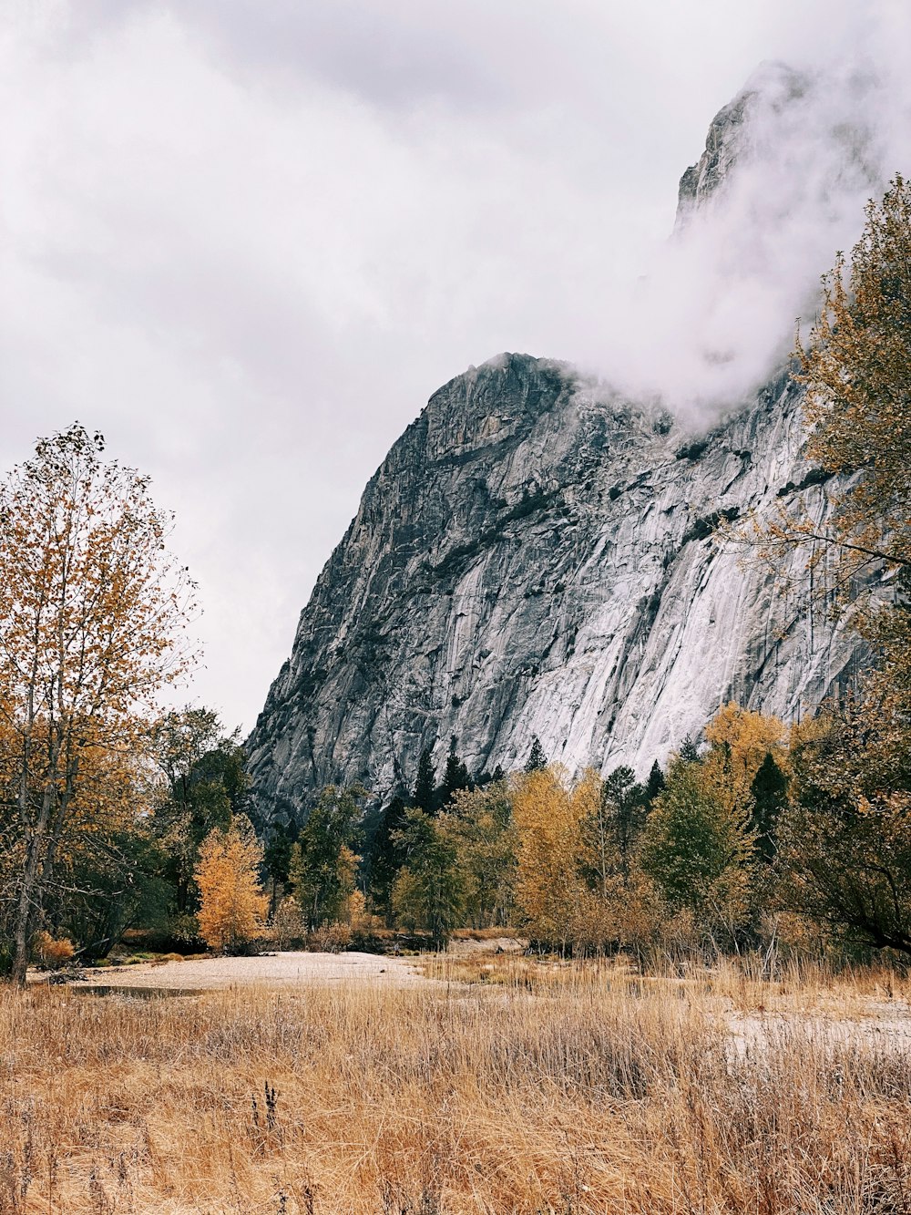 green trees near gray mountain under white clouds during daytime