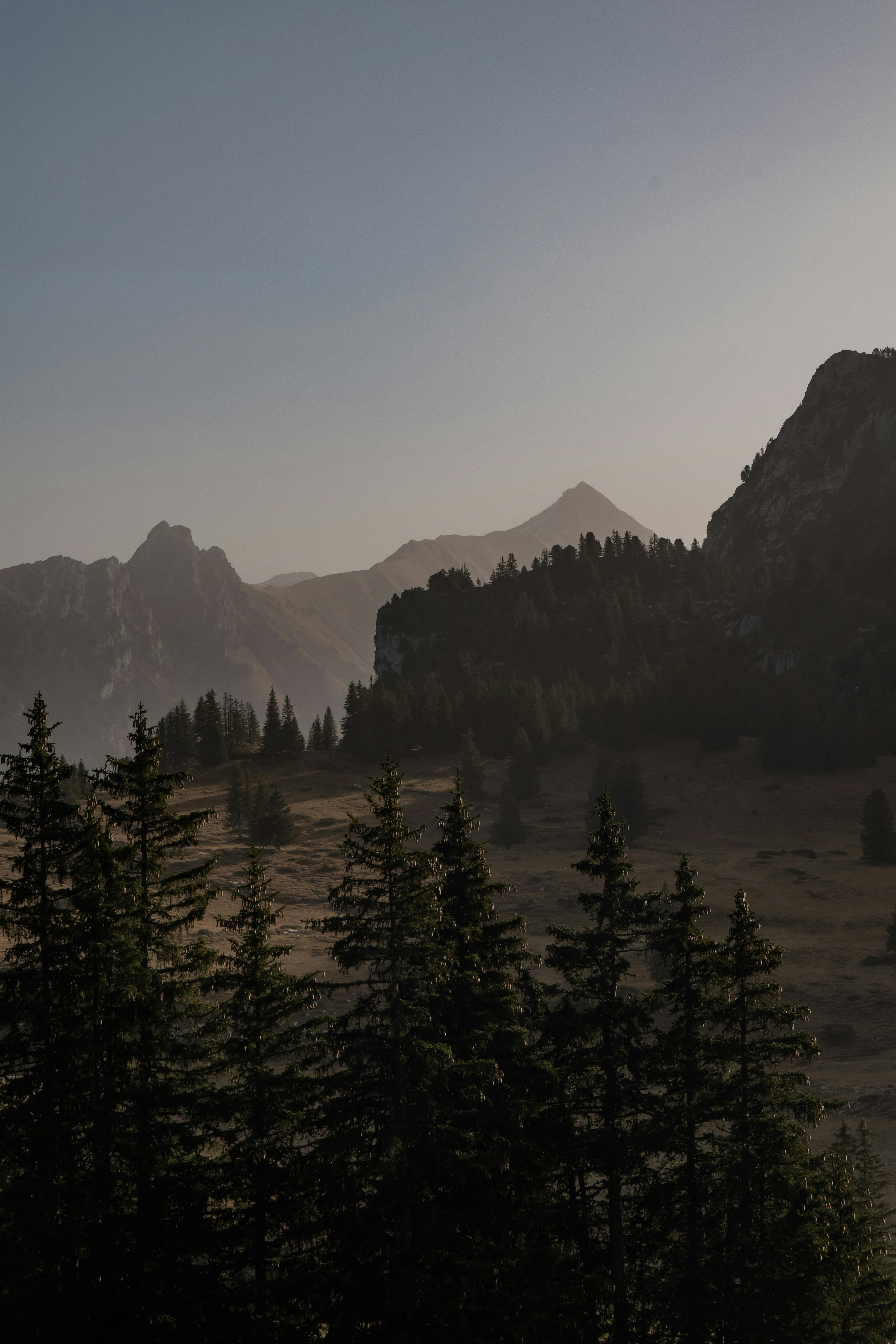 Photo by dariobroe