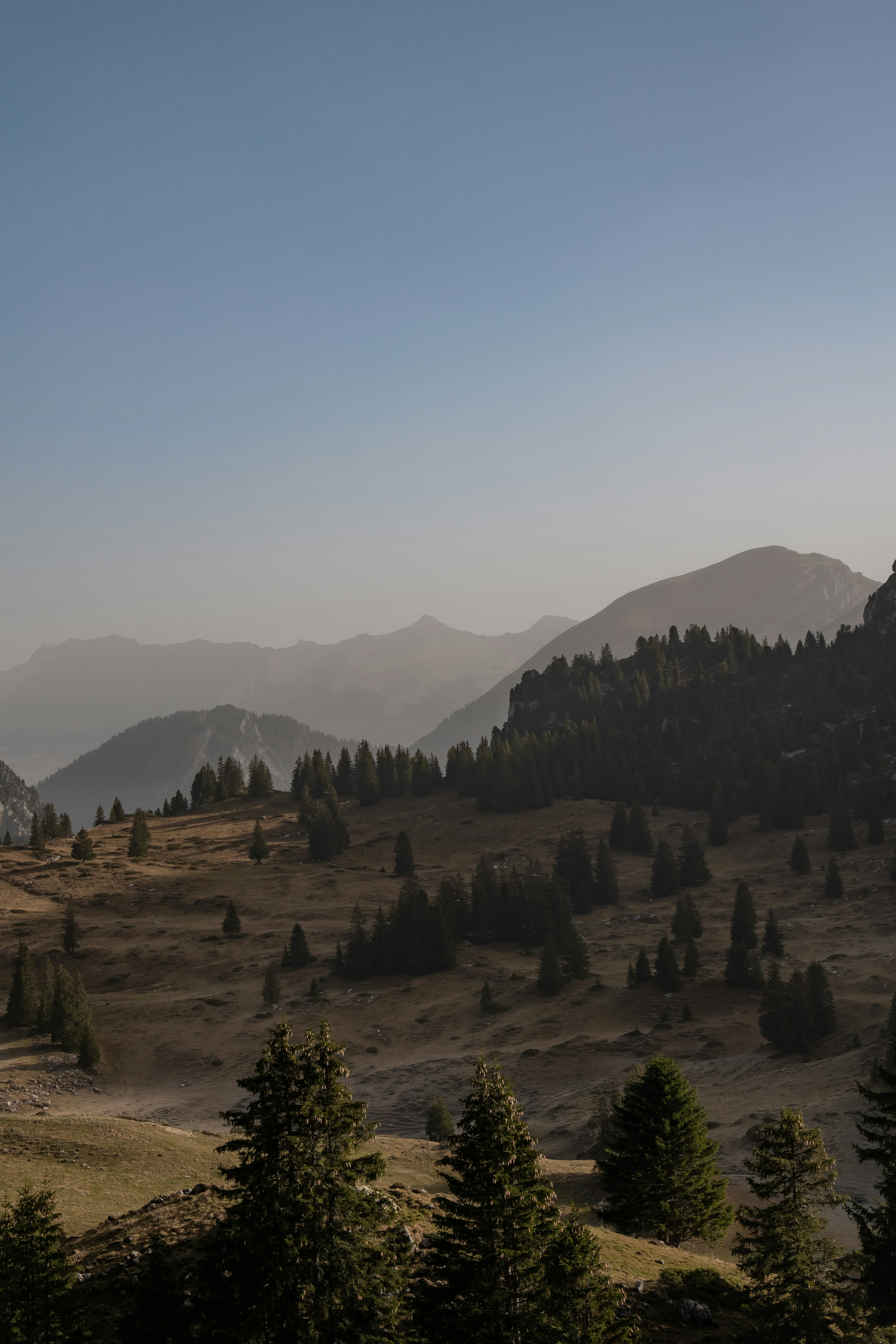 Photo by dariobroe