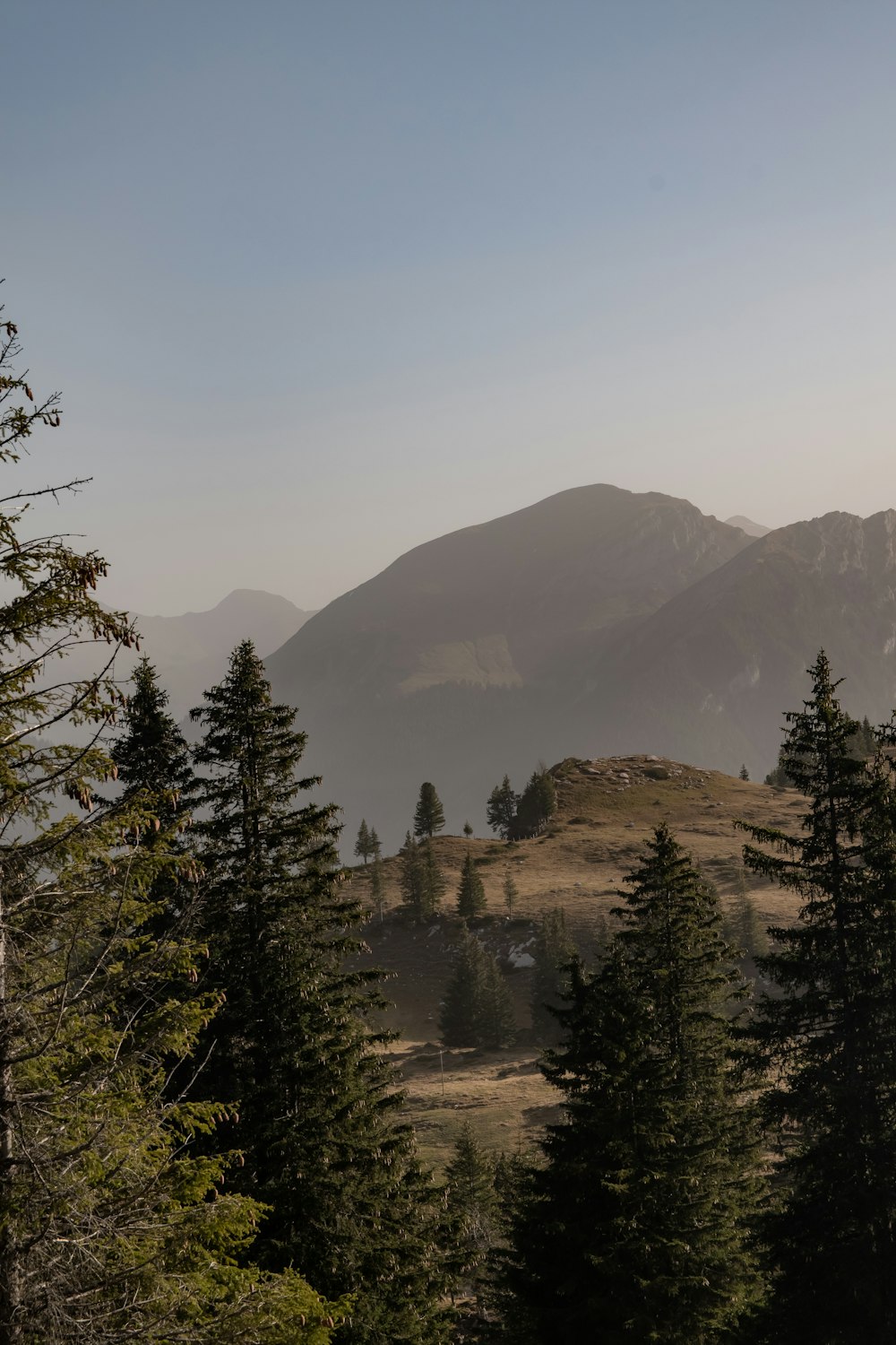 a view of a mountain range with trees in the foreground