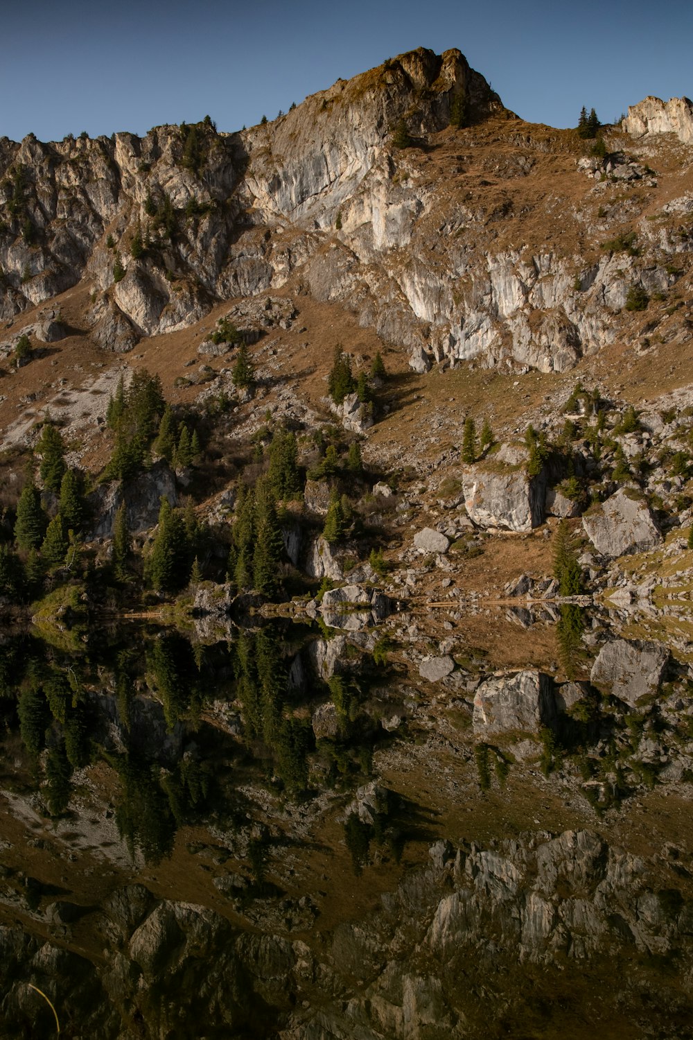 green trees on brown rocky mountain during daytime