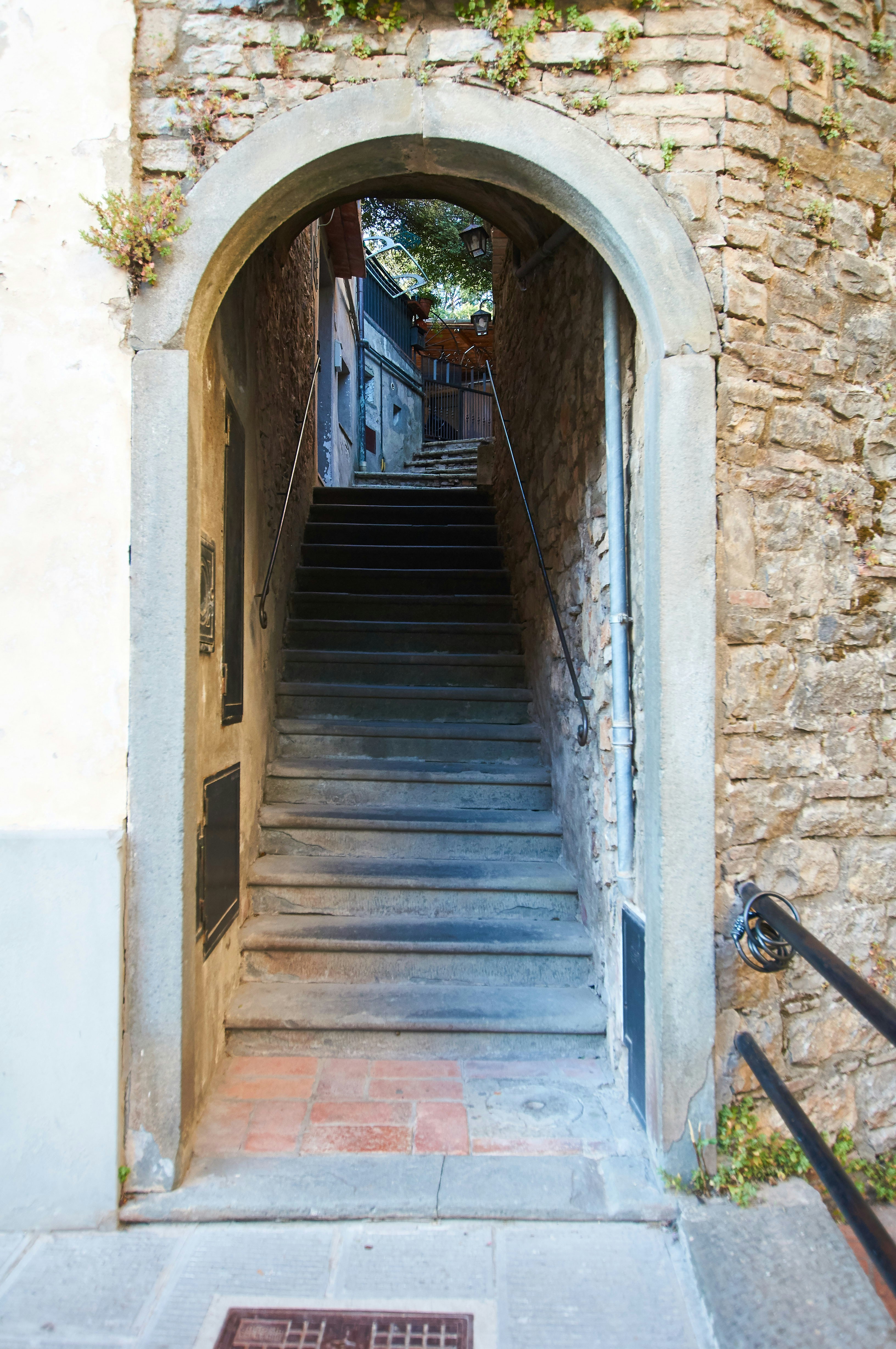 Photo by wolfgang_hasselmann