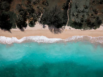 A stunning aerial view of a turquoise beach with gentle waves lapping the shore.