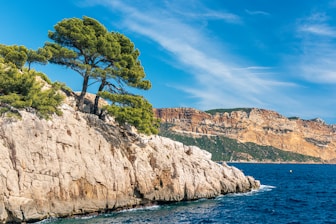 green trees on brown rocky mountain beside blue sea under blue sky during daytime