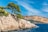 green trees on brown rocky mountain beside blue sea under blue sky during daytime