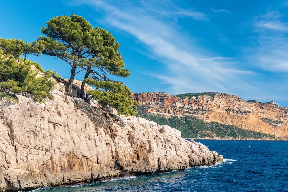 green trees on brown rocky mountain beside blue sea under blue sky during daytime