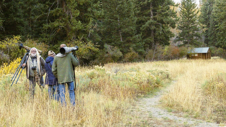 A group of people stand in a grassy field surrounded by dense trees. They are holding cameras with large lenses and tripods, suggesting they are wildlife photographers. The scene is set in a natural environment with a small wooden cabin visible in the background.