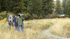 A group of people stand in a grassy field surrounded by dense trees. They are holding cameras with large lenses and tripods, suggesting they are wildlife photographers. The scene is set in a natural environment with a small wooden cabin visible in the background.