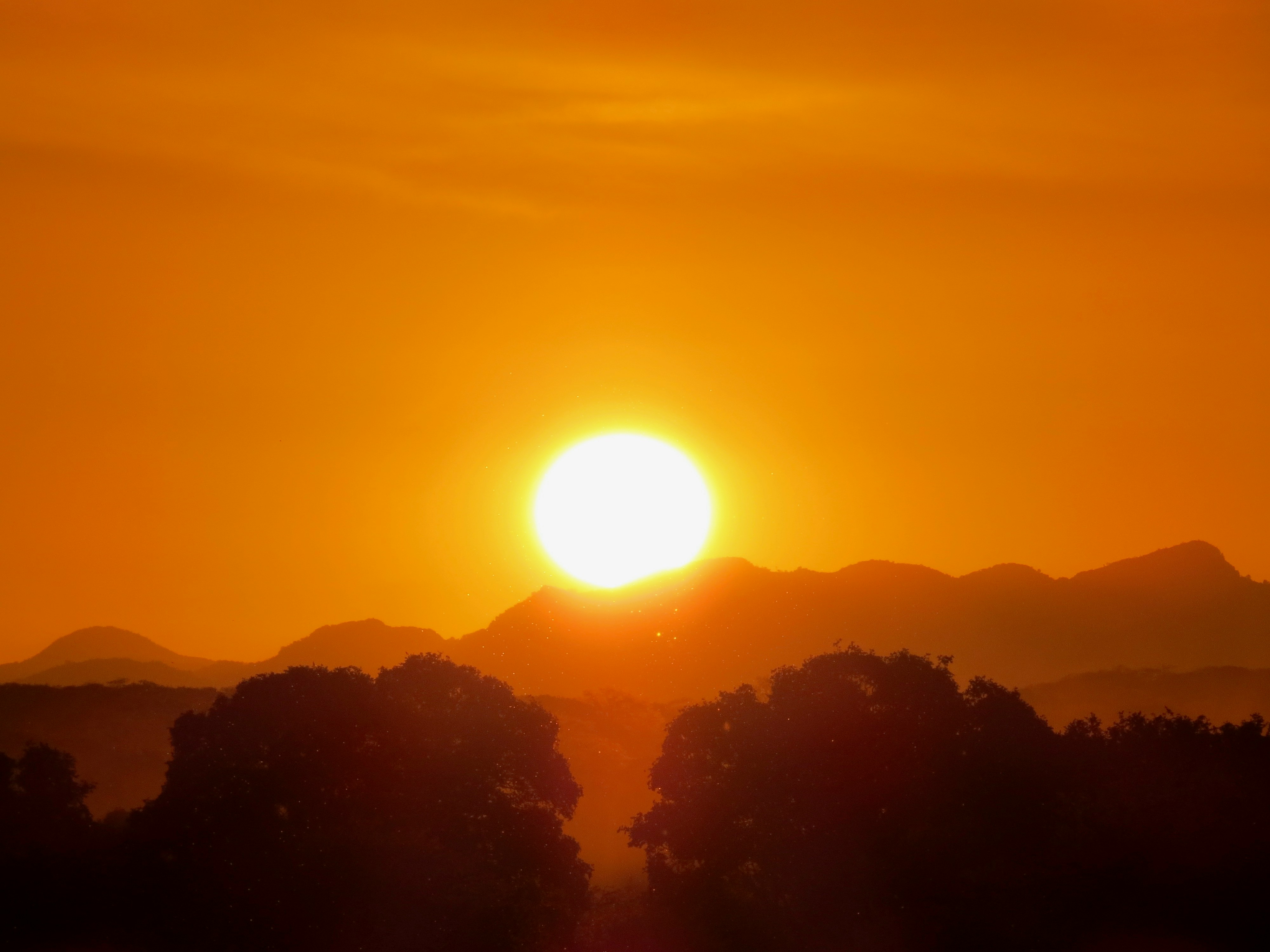 Photo by jaimedantas