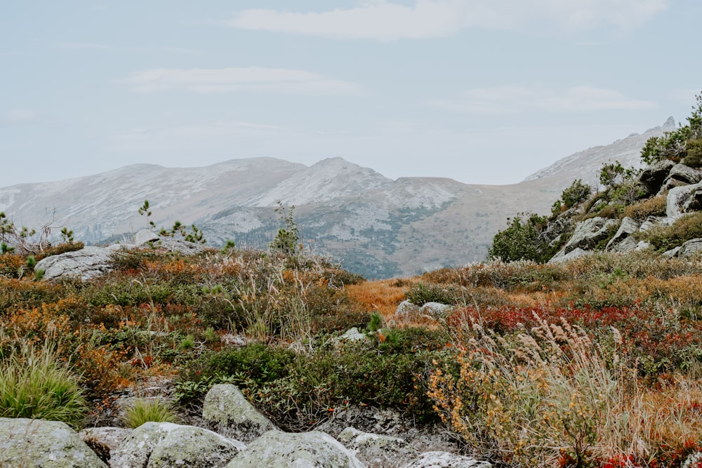 green grass and gray rocky mountain during daytime