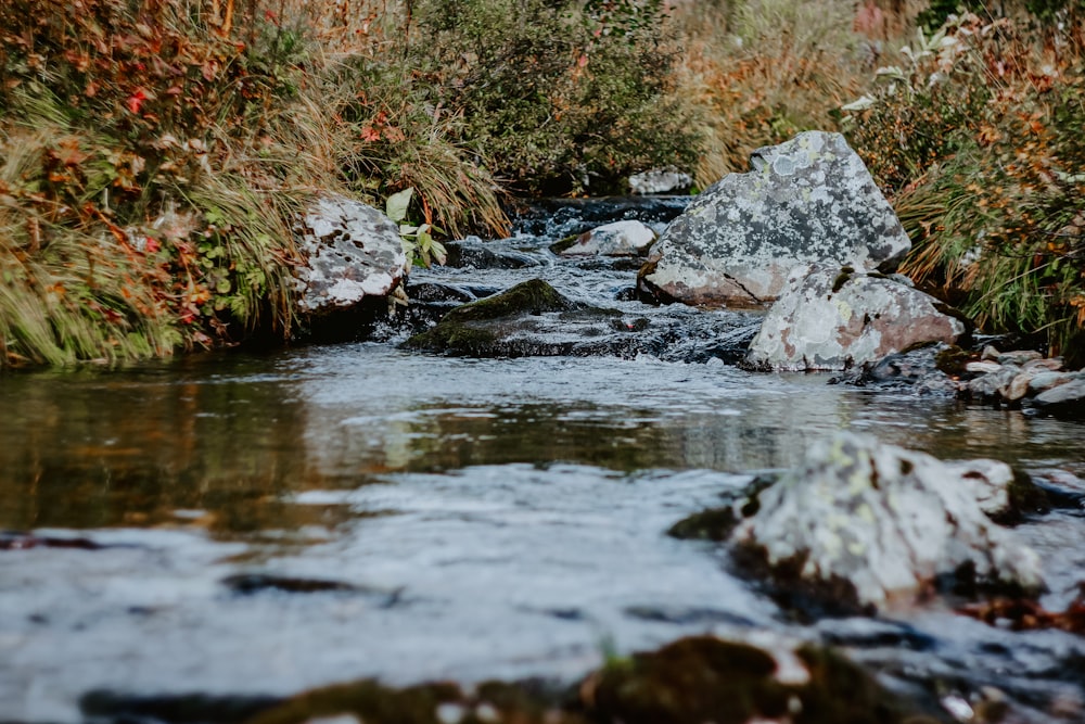 gray rocks on river during daytime