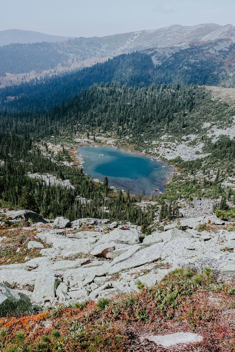 green trees on white rocky mountain during daytime